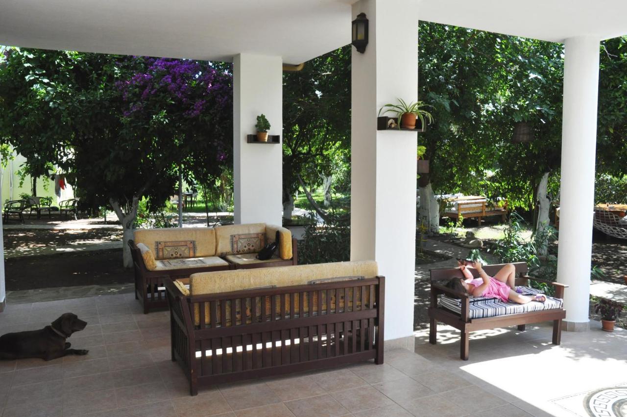 San Simon Hotel Çıralı Ngoại thất bức ảnh