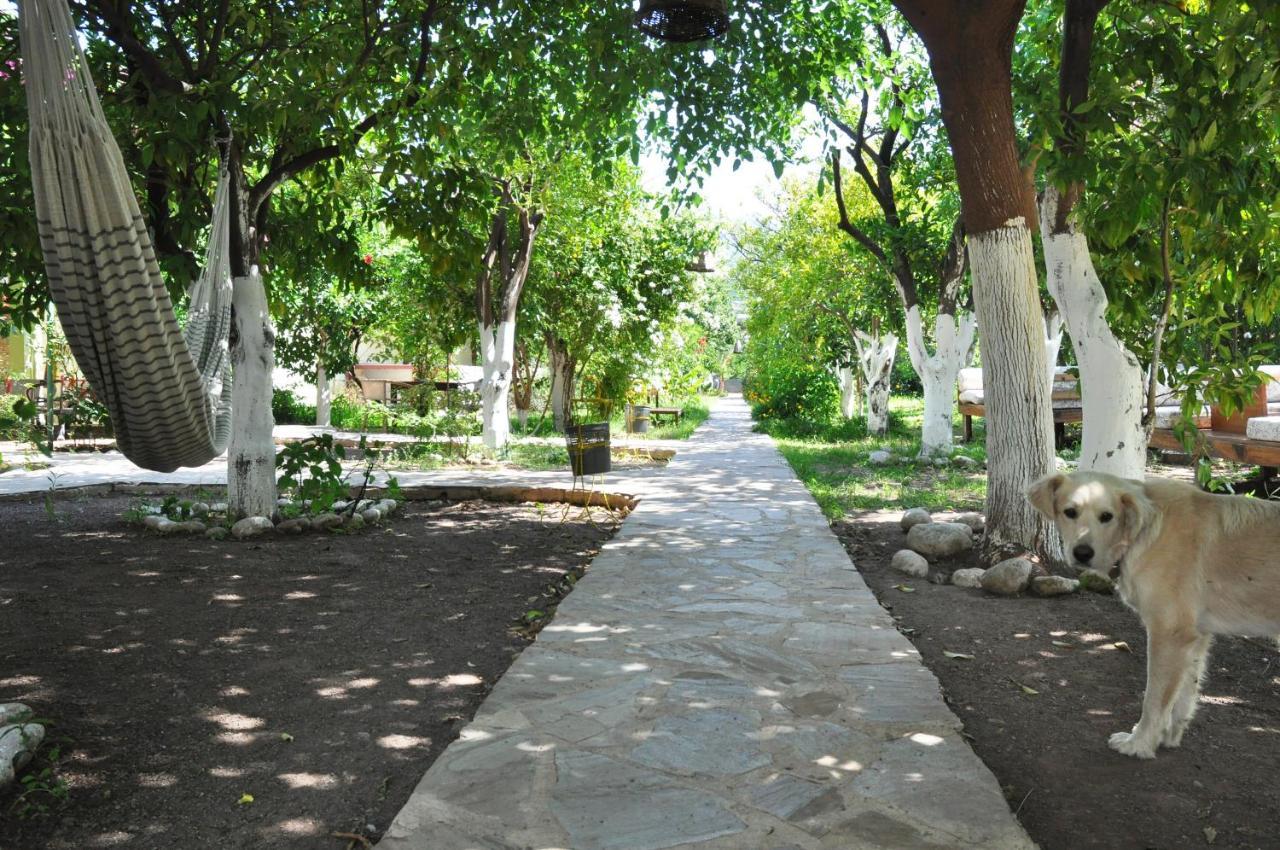 San Simon Hotel Çıralı Ngoại thất bức ảnh